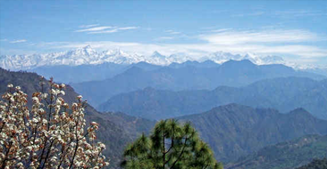 abbott mount champawat abbott mount champawat